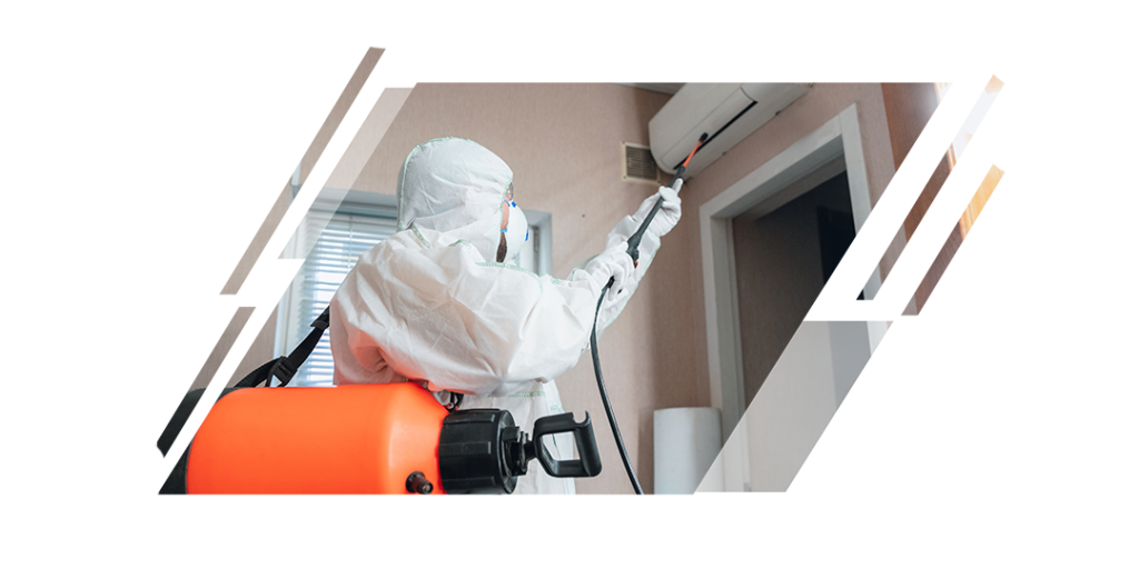 residential pest control service in dubai