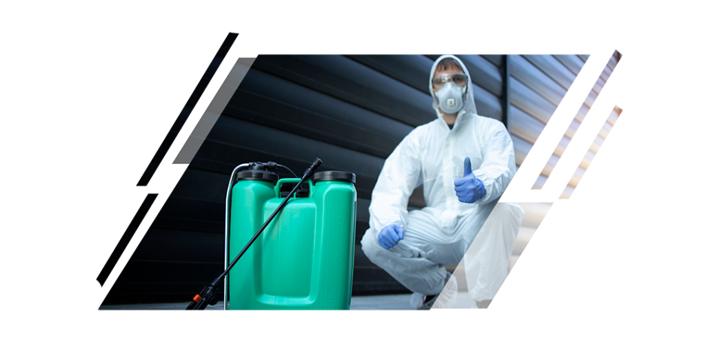 prevention pest control company in dubai