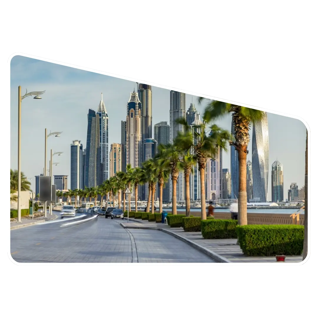 Pest Control Palm Jumeirah