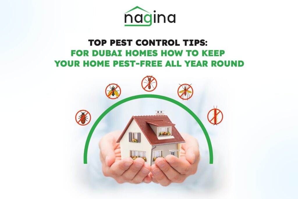 Top Pest Control Tips for Dubai Homes