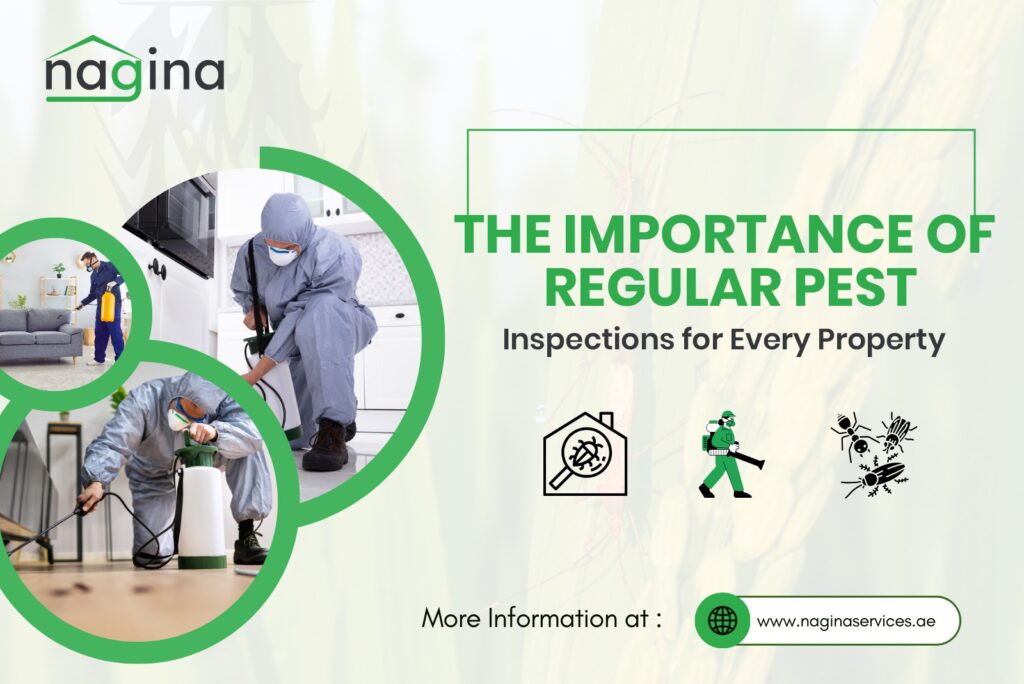 The Importance of Regular Pest Inspections for Every Property