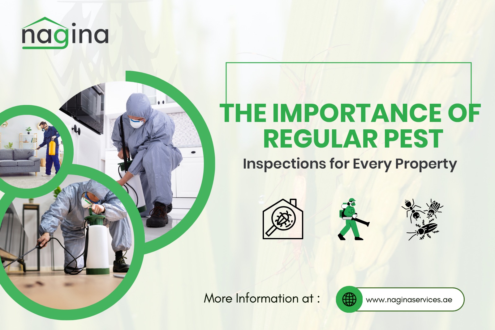 The Importance of Regular Pest Inspections for Every Property - Nagina ...