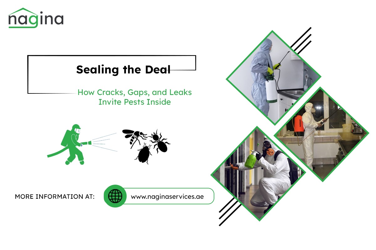 Sealing the Deal: How Cracks, Gaps, and Leaks Invite Pests Inside ...