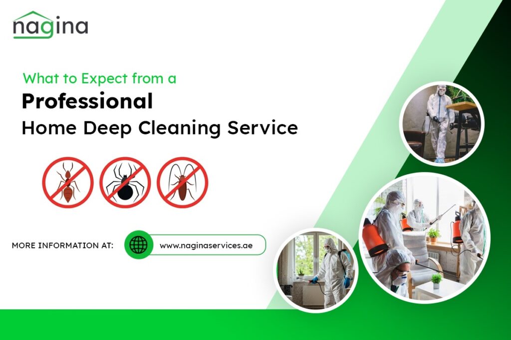 What to Expect from a Professional Home Deep Cleaning Service 