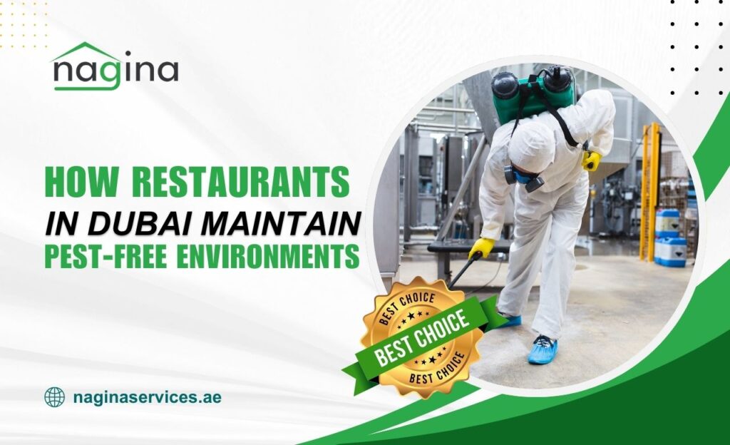 How Restaurants in Dubai Maintain Pest-Free Environments