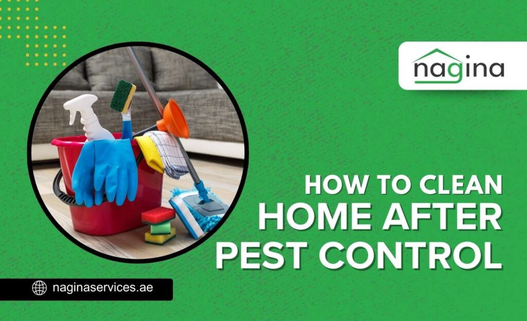 How to Clean Home After Pest Control (Dubai, UAE)
