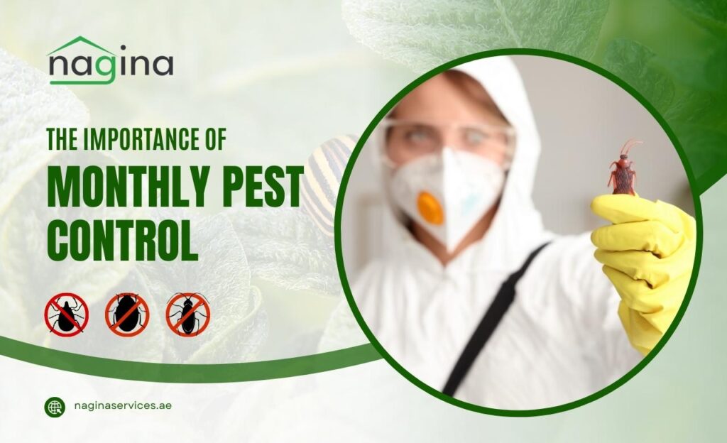 Is Monthly Pest Control Necessary in Dubai, UAE