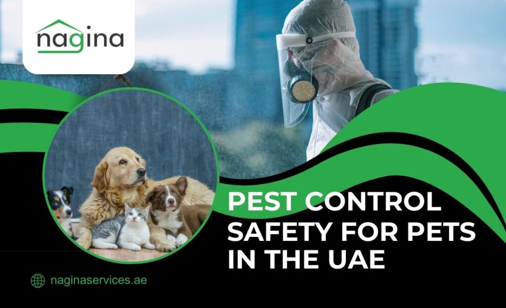 Is Pest Control Safe for Pets in Dubai, UAE