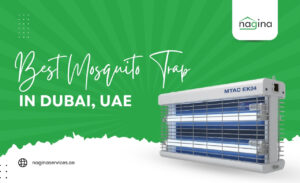 Best Mosquito Trap in Dubai, UAE