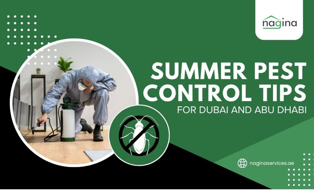 Summer Pest Control Tips for Dubai and Abu Dhabi