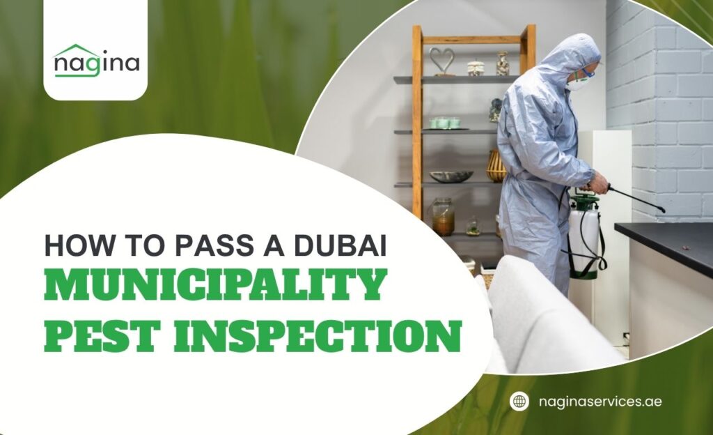 How to Pass a Dubai Municipality Pest Inspection (UAE)