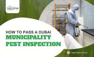 How to Pass a Dubai Municipality Pest Inspection (UAE)