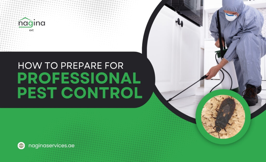How to Prepare for Professional Pest Control in the UAE