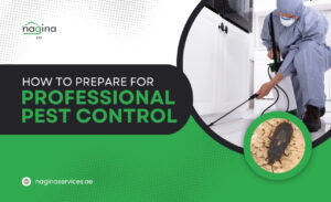 How to Prepare for Professional Pest Control in the UAE