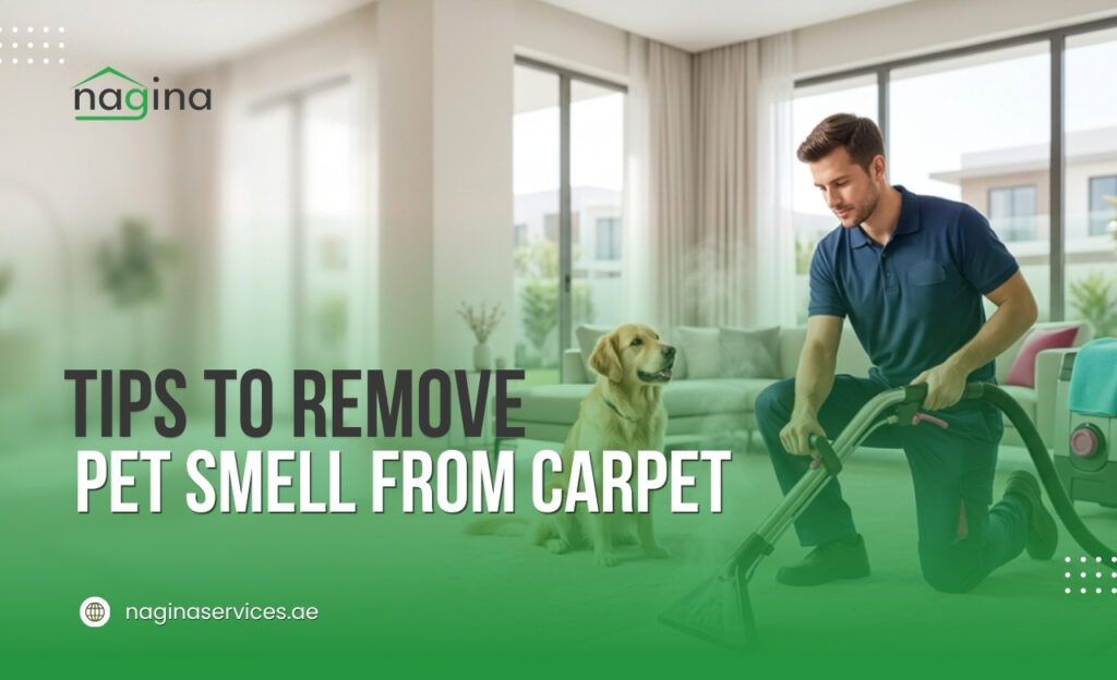 How to Remove Pet Smell from Carpet (UAE)