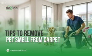 How to Remove Pet Smell from Carpet (UAE)
