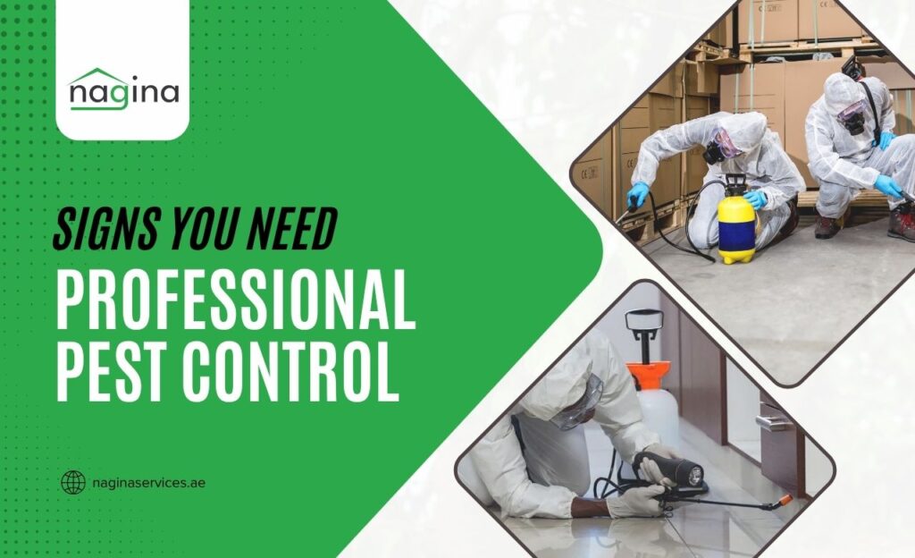 Signs You Need Professional Pest Control