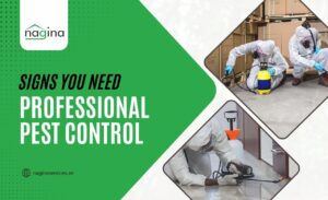 Signs You Need Professional Pest Control