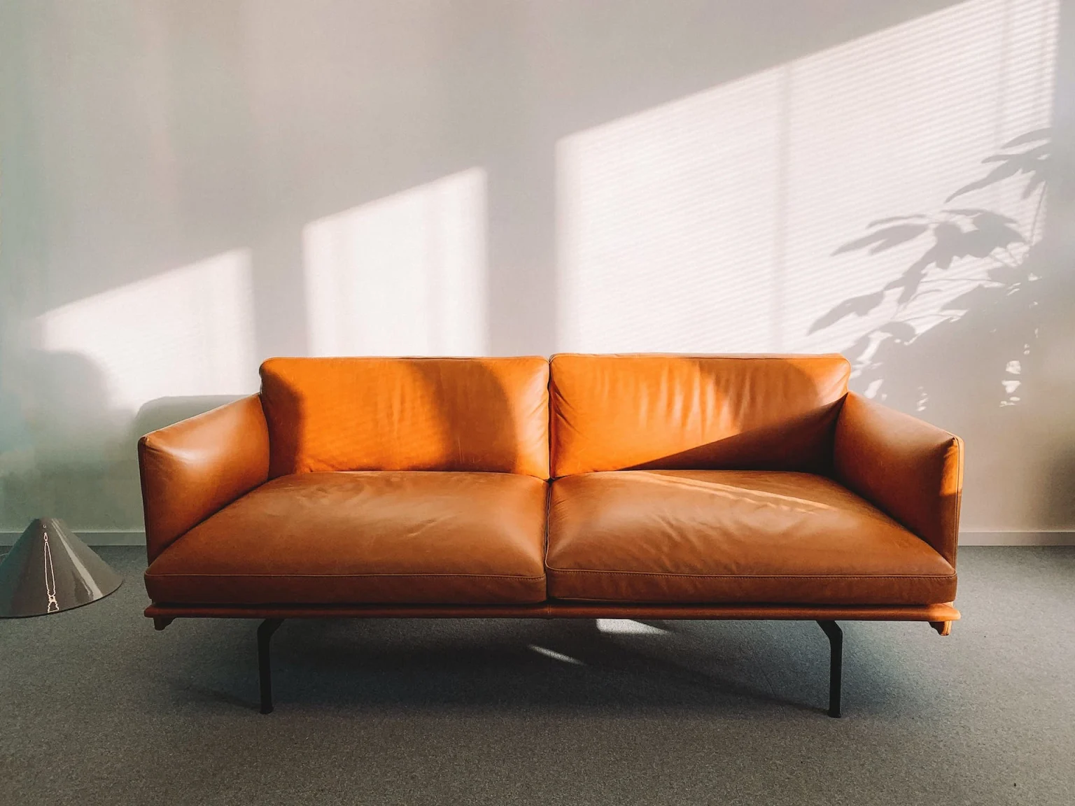 Sofa Cleaning