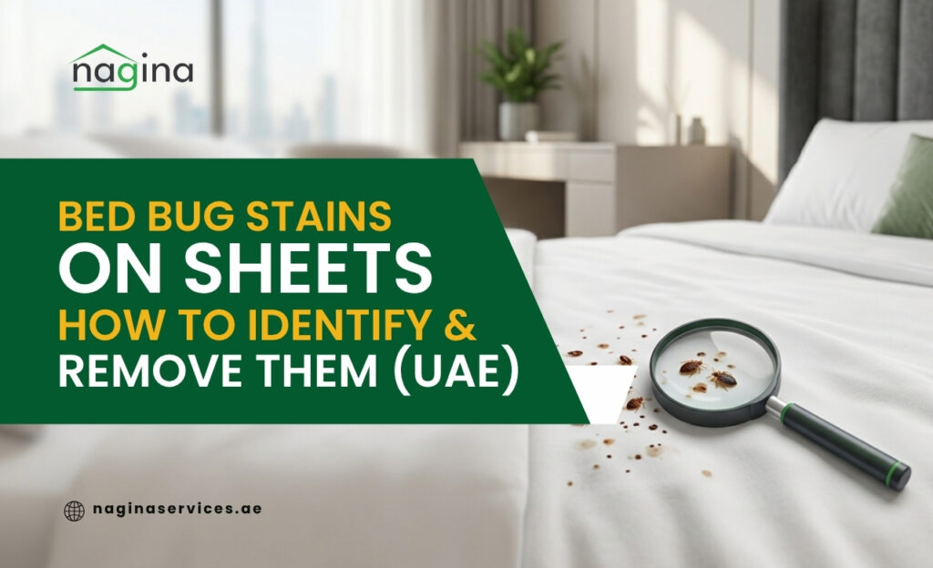 Bed Bug Stains on Sheets How to Identify and Remove Them (UAE)