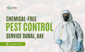 Chemical-Free Pest Control Service Dubai, UAE (Benefits & Effectiveness)
