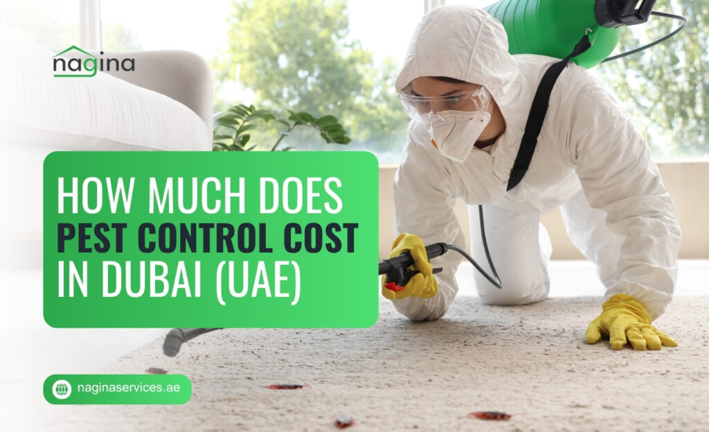 How Much Does Pest Control Cost in Dubai (UAE)