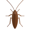 Coachroaches-qd2fulj65mz1tiashrzcb9dc2gakbtebixkfmu47hk